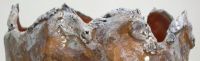Windhorse Series - carousel I